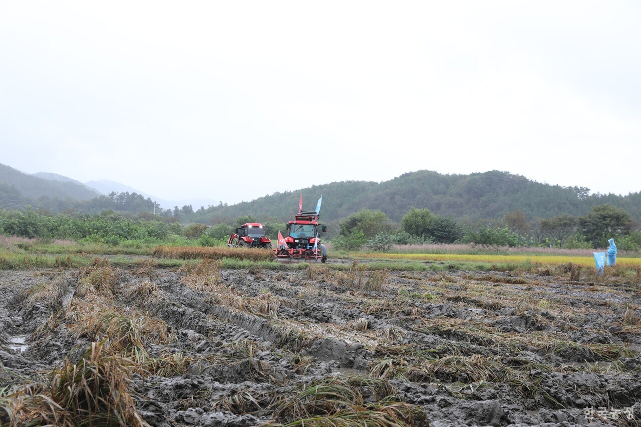 지난 3일 전국농민회총연맹 광주전남연맹과 (사)전국쌀생산자협회 광주전남본부 회원 30여명이 벼 깨씨무늬병 전수 조사 및 농업재해 인정을 촉구하며 논 갈아엎기 투쟁을 진행했다. 윤병구 기자