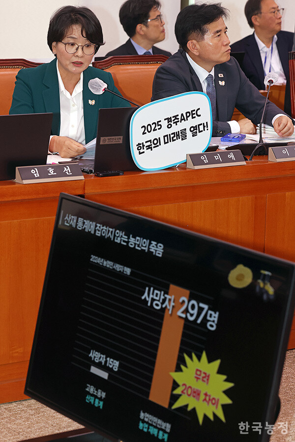 임미애 더불어민주당 의원이 지난 14일 서울 여의도 국회 농림축산식품해양수산위원회 회의실에서 열린 농림축산식품부에 대한 국정감사에서 통계에 잡히지 않는 농민들의 산재 사망에 대해 질의하고 있다. 한승호 기자