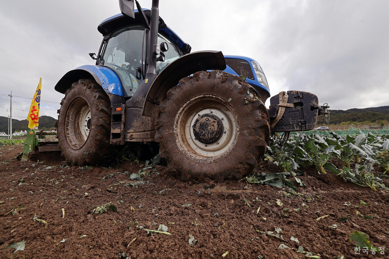 16일 오전 충북 청주시 상당구 미원면 들녘에서 열린 ‘배추(브로콜리) 무름병 피해 대책을 촉구하는 밭 갈아엎기 투쟁’에서 한 농민이 무름병이 번진 브로콜리밭을 트랙터로 갈아엎고 있다. 한승호 기자
