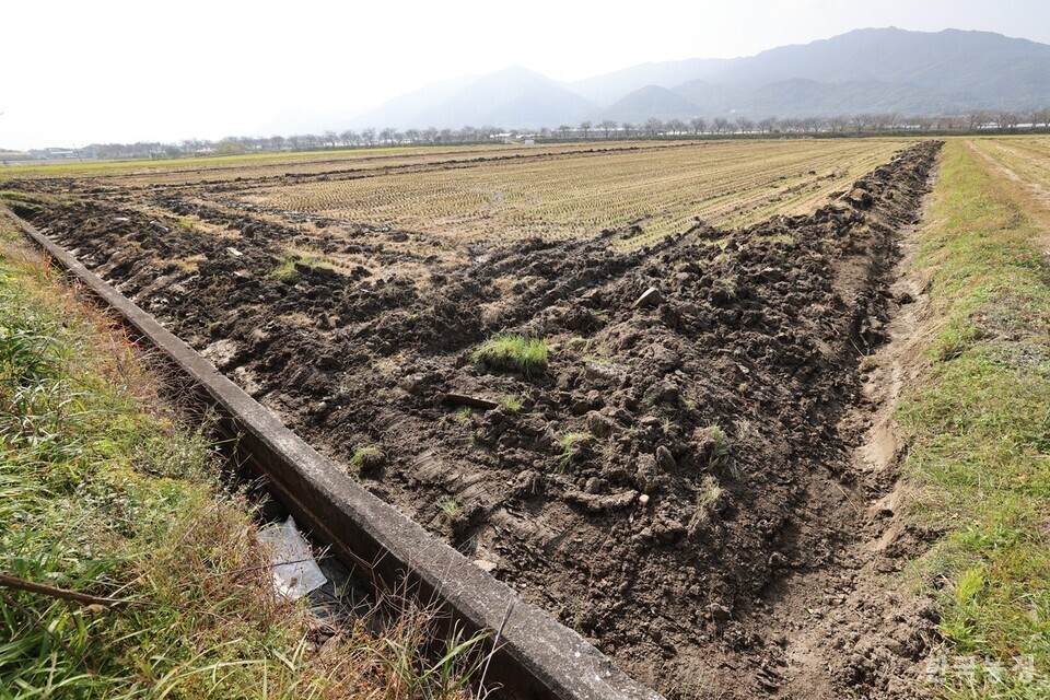 지난해 11월 12일 밀 파종을 위한 배수 작업을 마친 전남 구례군 광의면 일원의 한 논의 모습. 한승호 기자