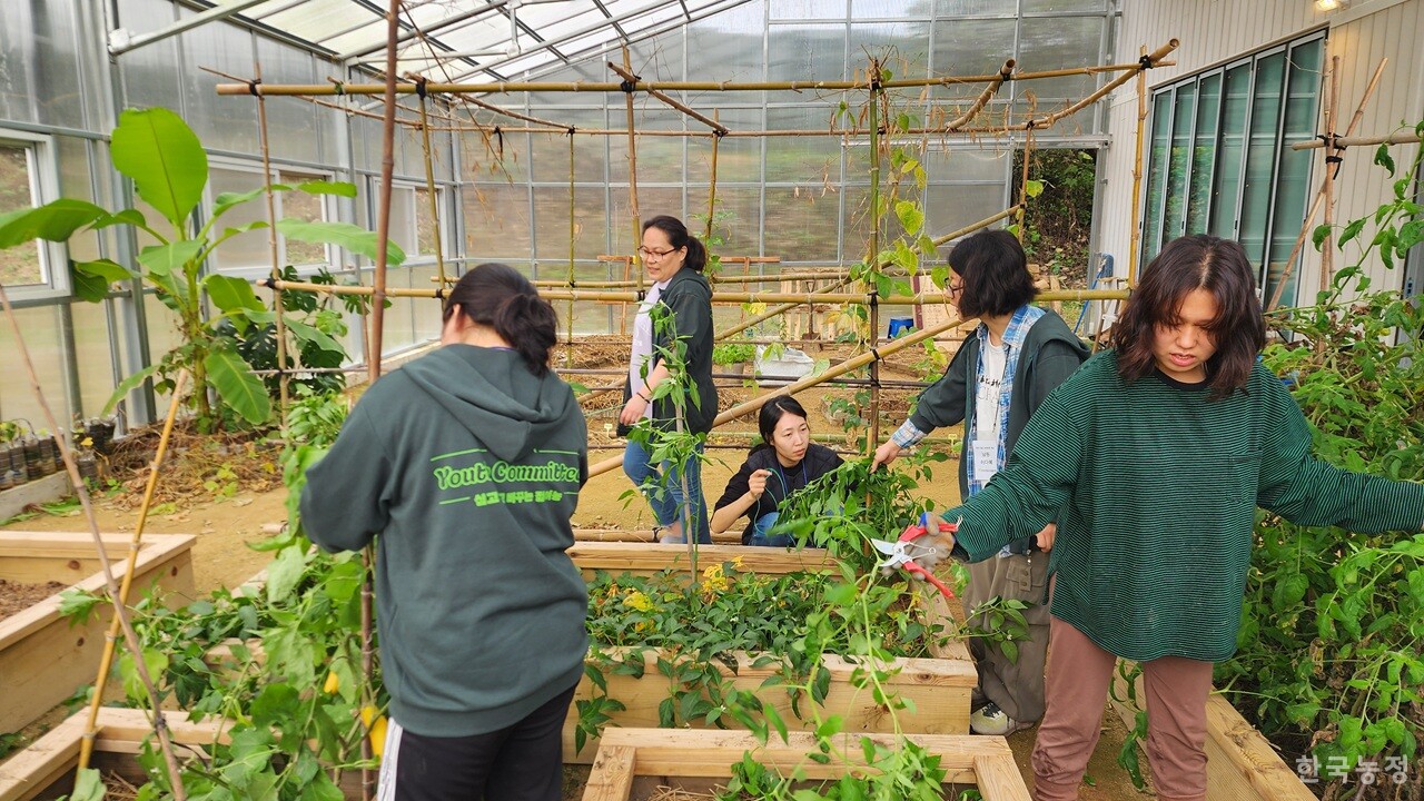 ‘2025 청년 농생태학 학교’이 열린 상주 봉강공동체 농생태학 실천농장에서 참석자들이 작물을 가꾸고 있다.