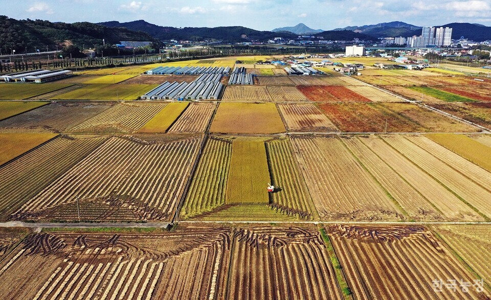 내년부터 농어촌기본소득 시범사업이 시행될 7개 지자체가 선정된 가운데 시범사업을 놓고 기대와 우려가 공존하고 있다. 시범사업 대상지로 선정된 충남 청양군에서 지난 22일 한 농민이 콤바인으로 추수에 나선 가운데 뒤편으로 청양 시내가 보이고 있다. 한승호 기자