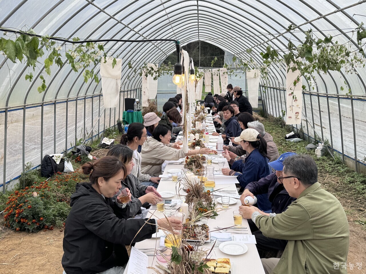 지난 18일 경기도 양평군 양서면 부용리에서 열린 ‘그레잇테이블’의 열다섯 번째 밭놀이 ‘집밥밥 집밥밥’ 중 진행된 만찬.