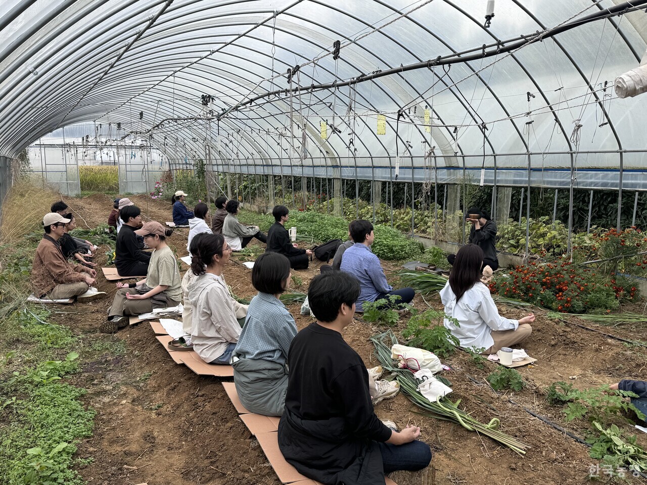 지난 10월 18일 경기 양평 부용리에서 열린 ‘그레잇테이블’의 열다섯 번째 밭놀이 ‘집밥밥 집밥밥’에 모인 참가자들이 하우스 안에서 싱잉볼 명상을 하고 있다.