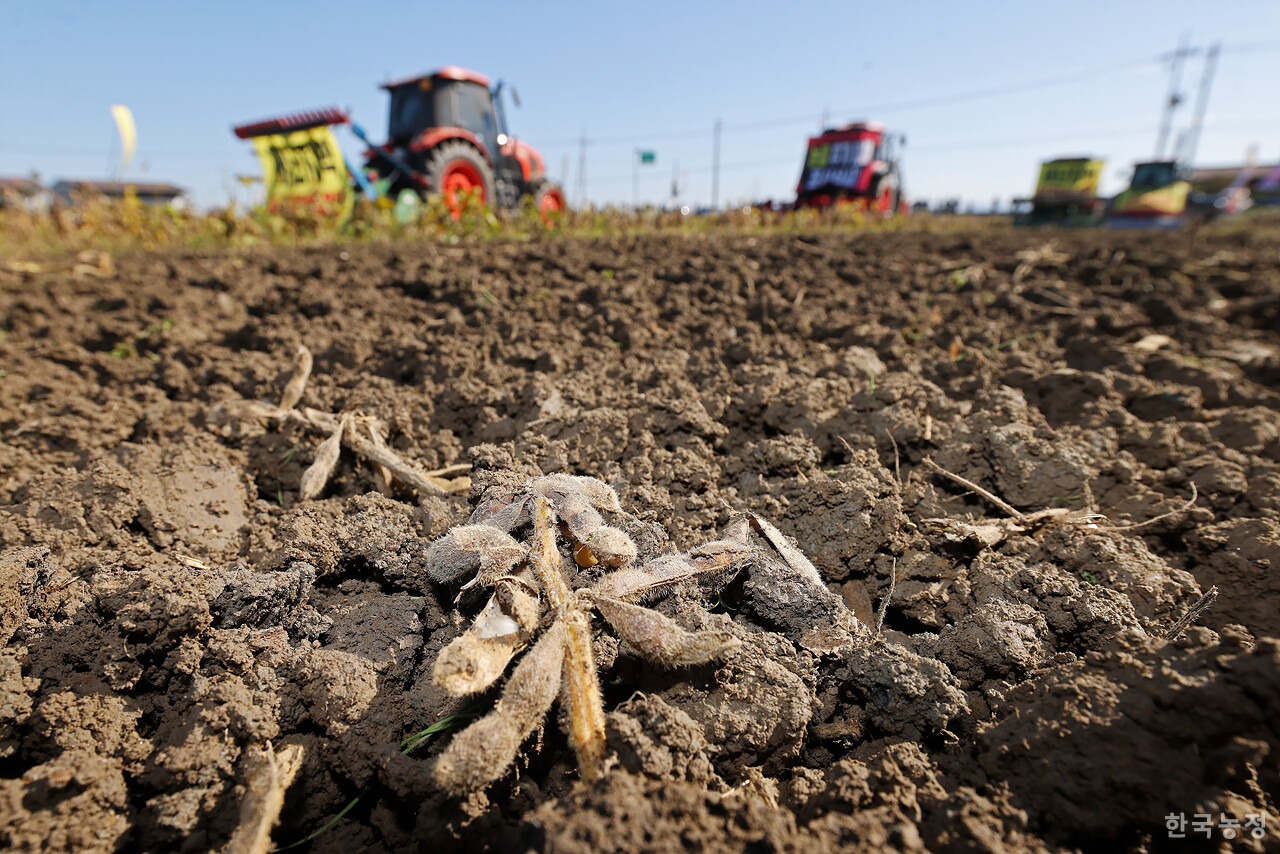 27일 오전 전북 김제시 부량면 들녘에서 열린 '논콩 피해 추가조사 실시! 특별재난지역 선포! 김제농민 논콩 갈아엎기 투쟁'에서 농민들의 트랙터가 올가을 잦은 비로 수확이 불가능할 정도로 병이 발생한 논콩을 갈아엎고 있다. 한승호 기자