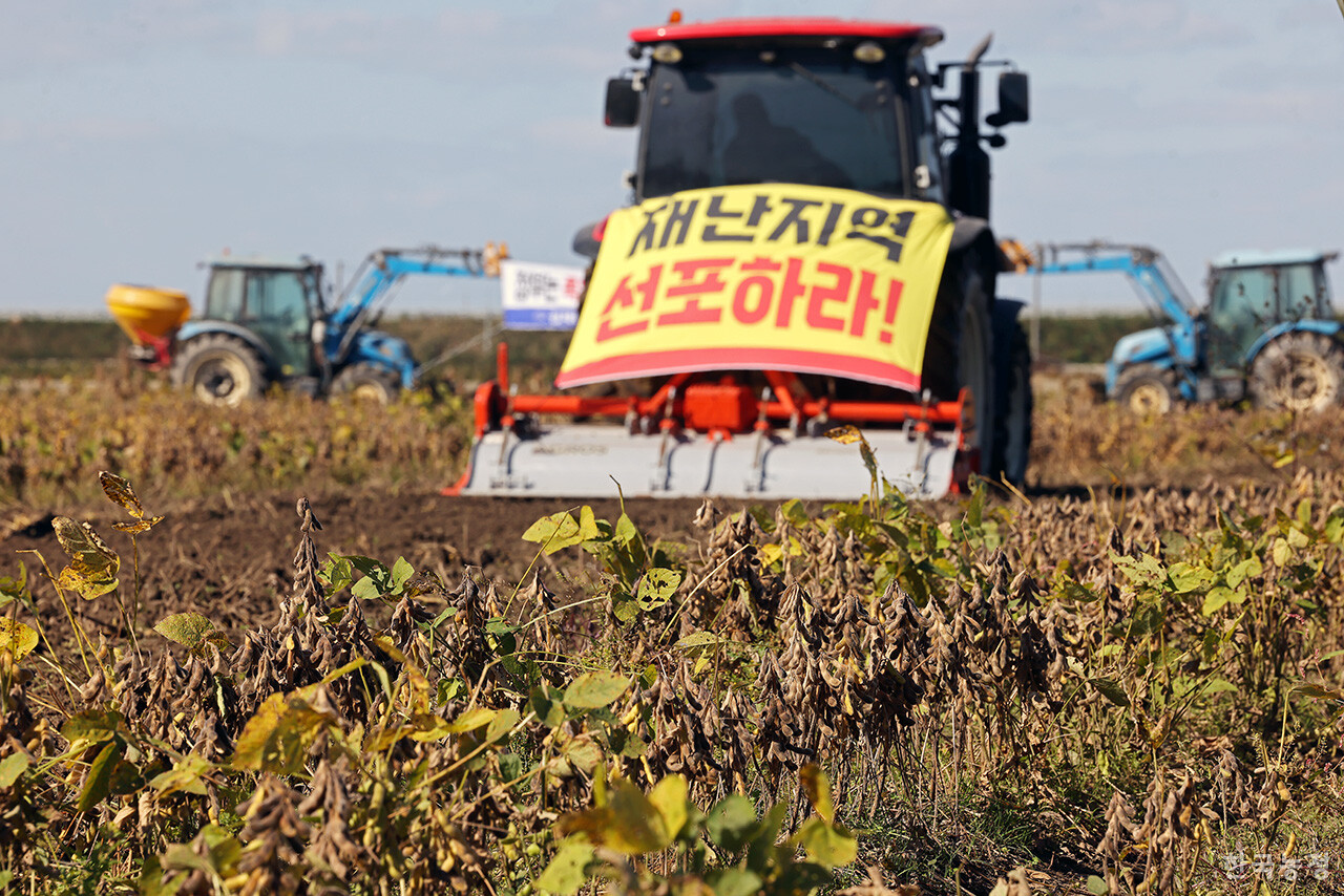 27일 오전 전북 김제시 부량면 들녘에서 열린 '논콩 피해 추가조사 실시! 특별재난지역 선포! 김제농민 논콩 갈아엎기 투쟁'에서 농민들의 트랙터가 올가을 잦은 비로 수확이 불가능할 정도로 병이 발생한 논콩을 갈아엎고 있다. 한승호 기자