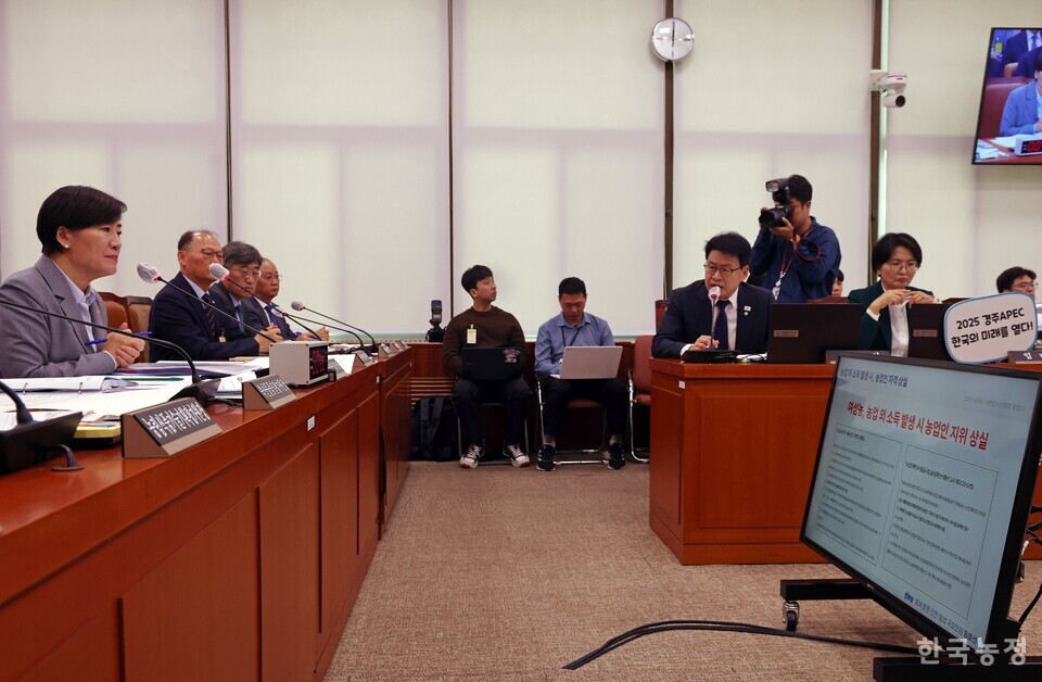 지난달 28일 국회 농림축산식품해양수산위원회 전체회의실에서 열린 농림축산식품부 등에 대한 종합감사에서 송미령 농림축산식품부 장관이 정부의 논콩 장려 정책 및 수매 현황을 비판하는 임미애 더불어민주당 의원의 질의를 듣고 있다. 한승호 기자
