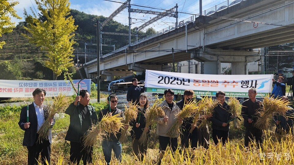 진주시농민회가 지난달 31일 경남 진주시 문산읍 통일쌀 경작지에서 추수행사를 진행했다. 
