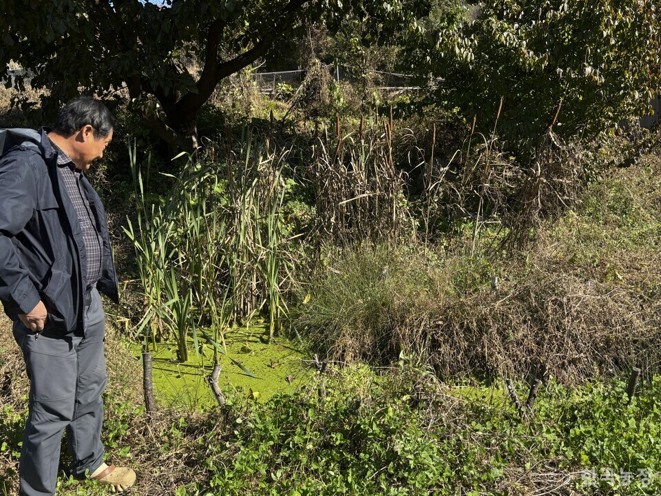 지난 3일 찾은 청년들이 가꿨던 ‘꿈꾸는 산수골’ 텃밭에는 그들이 떠난 뒤 풀만 무성하게 자라 있었다.