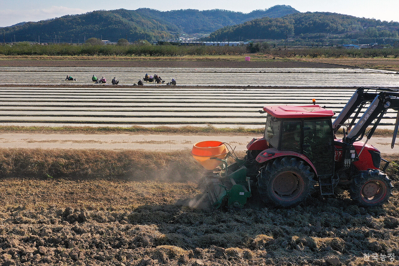지난 3일 경북 의성군 금성면 구련리 들녘에서 한 농민이 트랙터로 논을 갈고 있다.