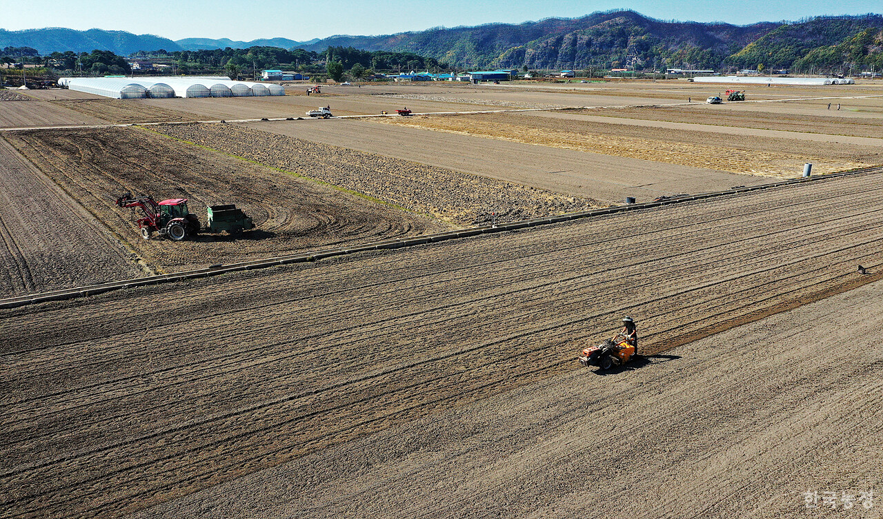 지난 3일 경북 의성군 단촌면 후평리 들녘에서 씨마늘 파종 및 준비를 위해 농민들이 분주히 움직이고 있다.