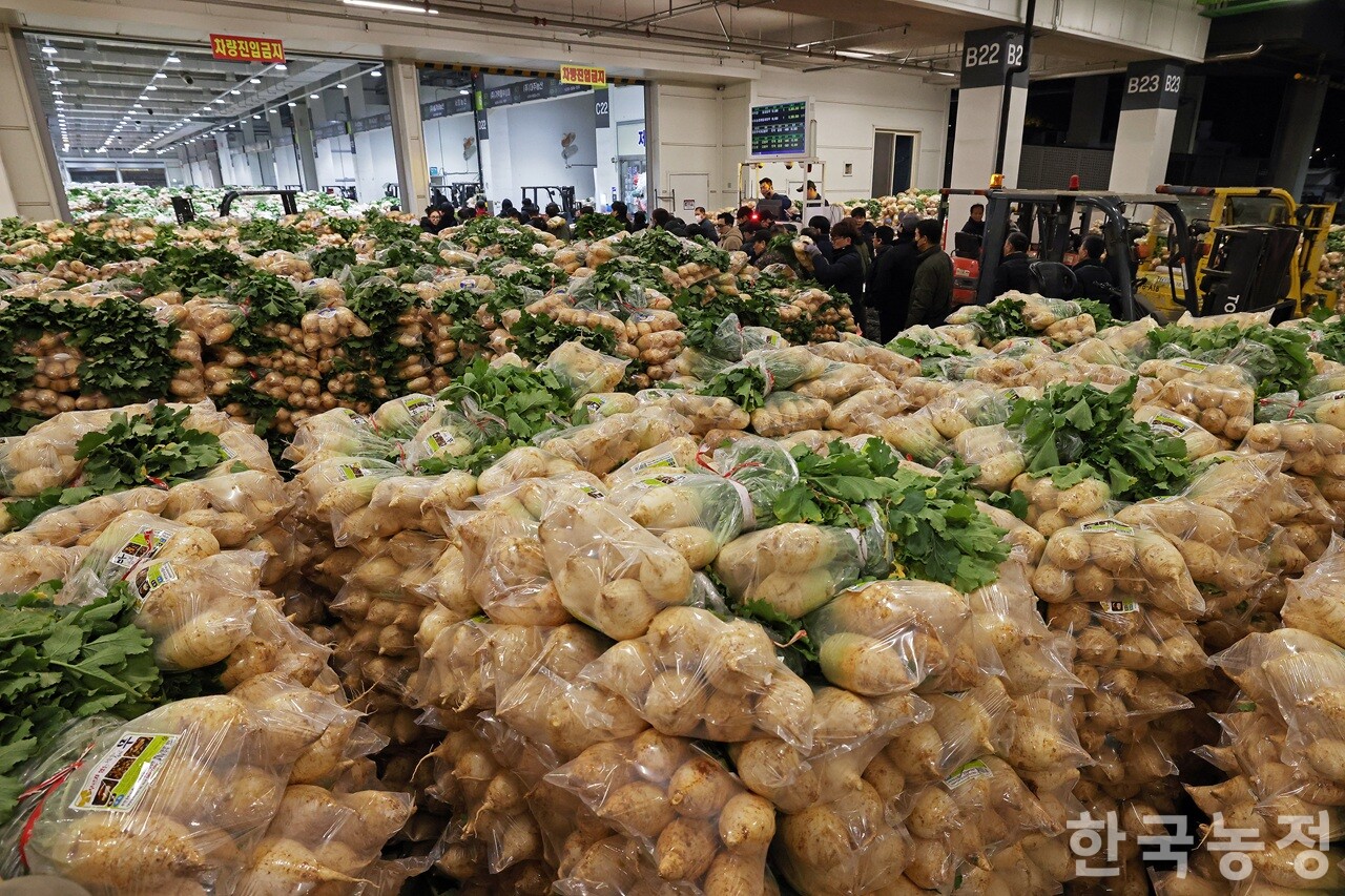 본격적인 김장철을 앞두고 김장재료 반입이 늘고 있는 가운데 지난 12일 서울시 가락동농수산물도매시장 채소2동 경매장 밖에서 무 경매가 진행되고 있다. 한승호 기자