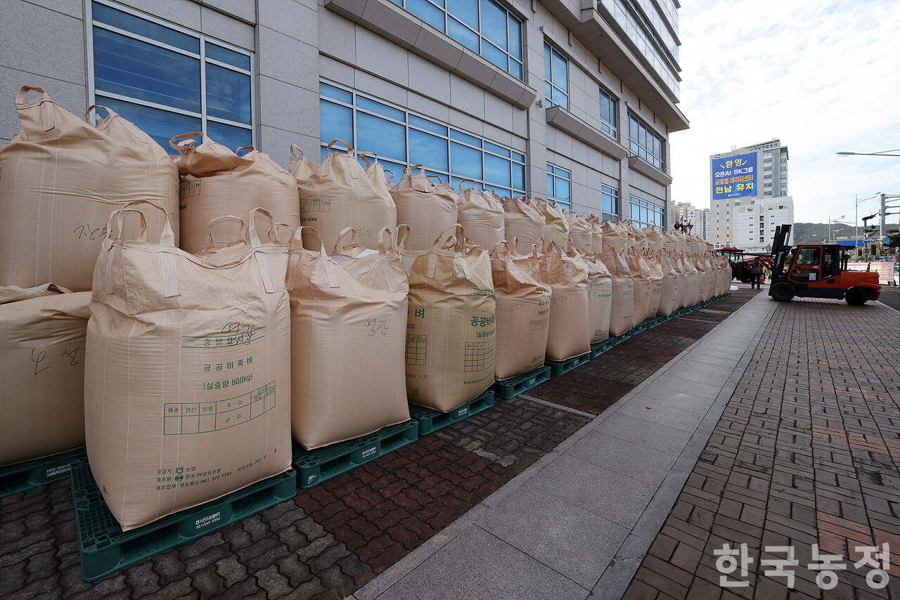 지난 14일 전남 무안군 농협중앙회 전남본부 앞에서 '나락값 8만원 보장 광주전남 농민대회'가 열린 가운데 농민들이 지역 곳곳에서 가져온 나락을 농협 앞에 쌓고 있다. 한승호 기자