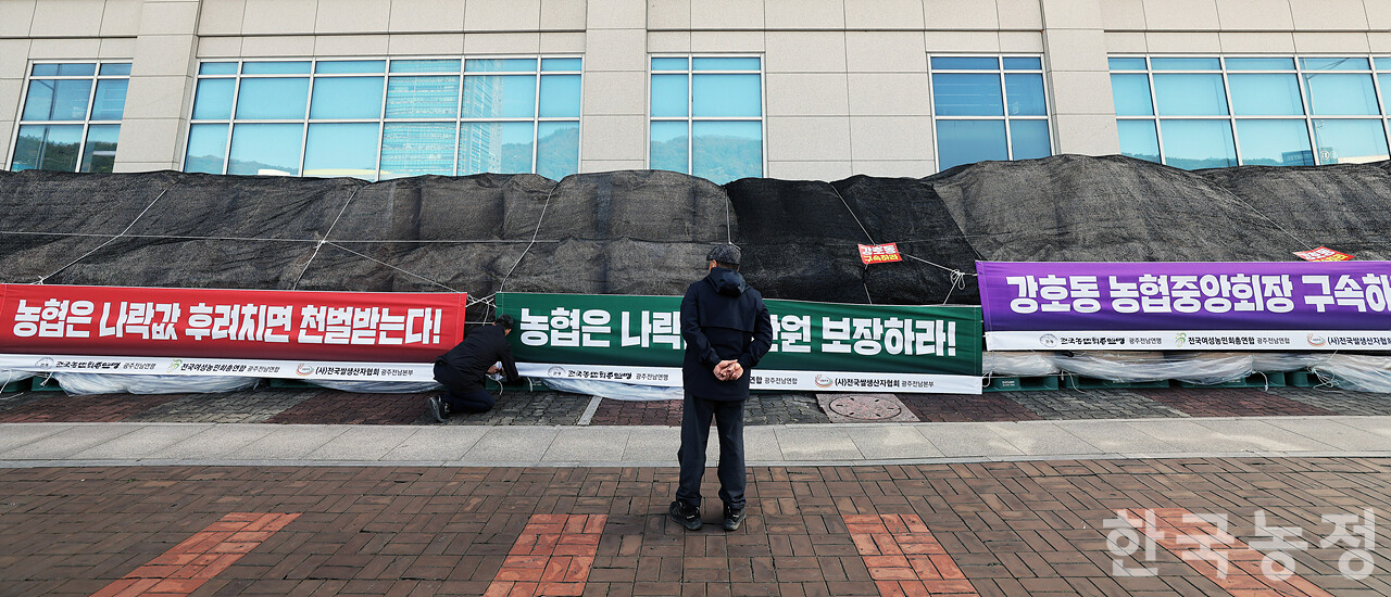 지난 14일 전남 무안군 농협중앙회 전남본부 앞에서 '나락값 8만원 보장 광주전남 농민대회'가 열린 가운데 농민들이 지역 곳곳에서 가져온 나락을 농협 앞에 쌓은 뒤 요구사항이 적힌 현수막을 매달고 있다. 한승호 기자