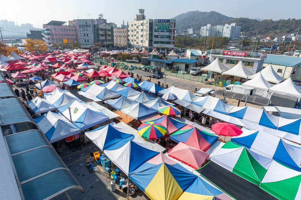 전국에서 규모의 순위를 다툴 만큼 큰 강화도 오일장. 류관희 작가