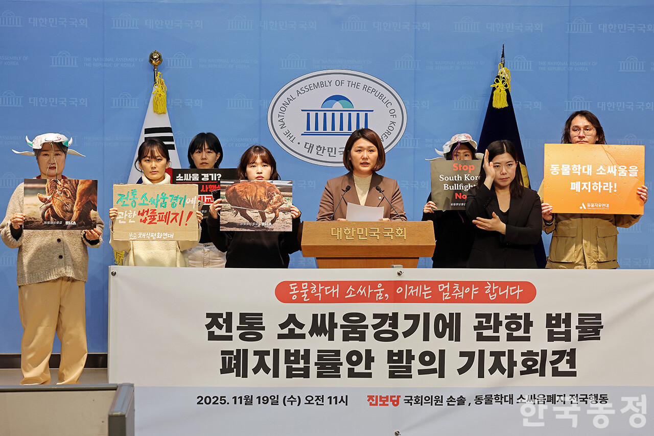 지난 2002년 제정된 ‘전통 소싸움 경기에 관한 법률안’에 대한 폐지 법률안을 역대 최초로 발의한 손솔 진보당 의원이 지난 19일 국회 소통관에서 동물학대 소싸움폐지 전국행동 회원들과 기자회견을 열고 “동물학대 소싸움을 이젠 멈춰야 한다”며 폐지 법률안의 취지와 의미를 설명하고 있다. 한승호 기자