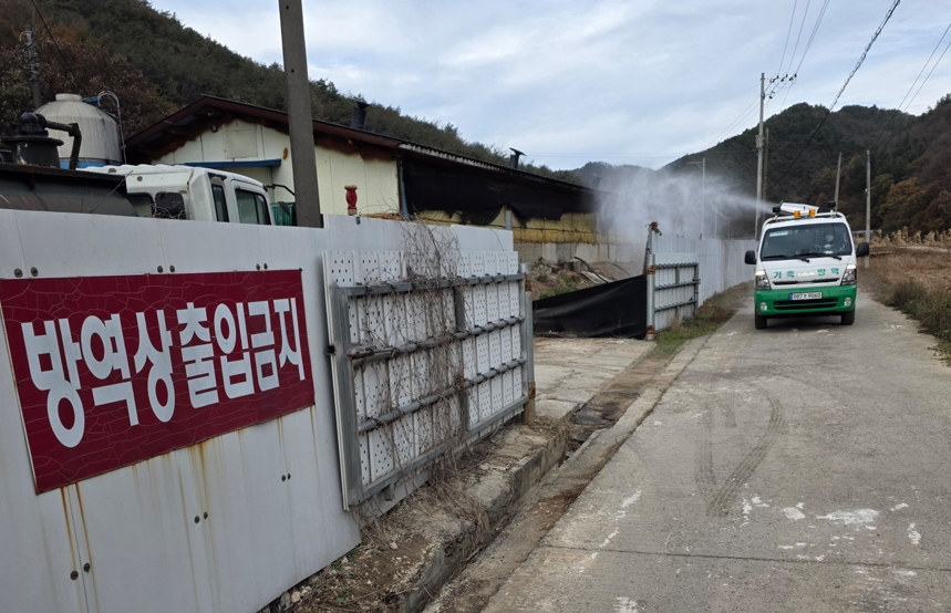 충북 영동 소재 종오리 농장에서 지난 18일 H5N1형 고병원성 AI가 발생해 영동군청에서 방역 조치를 실시하고 있는 모습. 영동군청 제공
