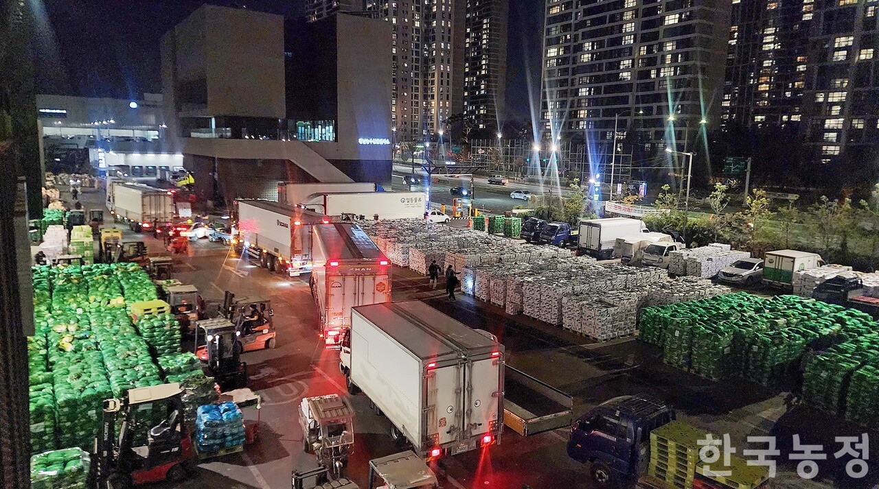 지난 19일 밤 경매를 앞둔 가락동농수산물도매시장 채소2동의 모습. 주차장까지 박스무와 배추가 가득 쌓여있는 데다 하차를 하지 못한 대형트럭들이 줄지어 순서를 기다리고 있다.