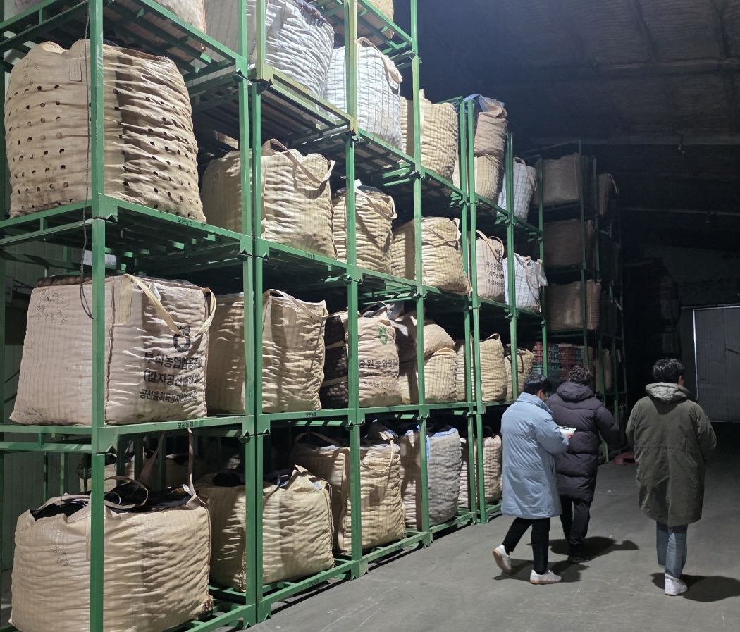 동화청과, '비규격 감자 물량 소진'에 '취약계층 지원'까지 - 뉴스 썸네일 이미지