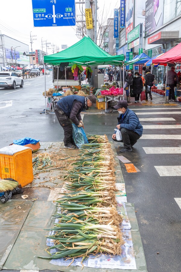 직접 밭에서 뽑아오셨을 대파들이 눈길을 끈다. 겨울을 보내고 나온 대파들의 단맛이 떠올라 한무더기 사고야 만다. 류관희 작가
