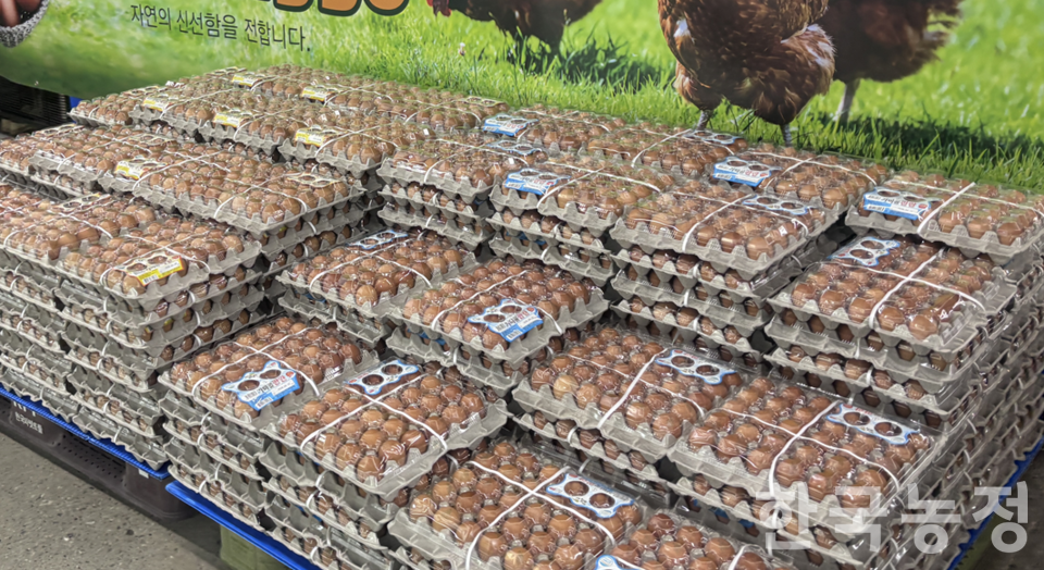 고병원성 AI 발생으로 국내 산란계 사육 마릿수의 10%가 살처분 된 가운데 지난 18일 강원 춘천시 한 마트에서 특란(30개)이 7000~8000원대에 판매되고 있다.