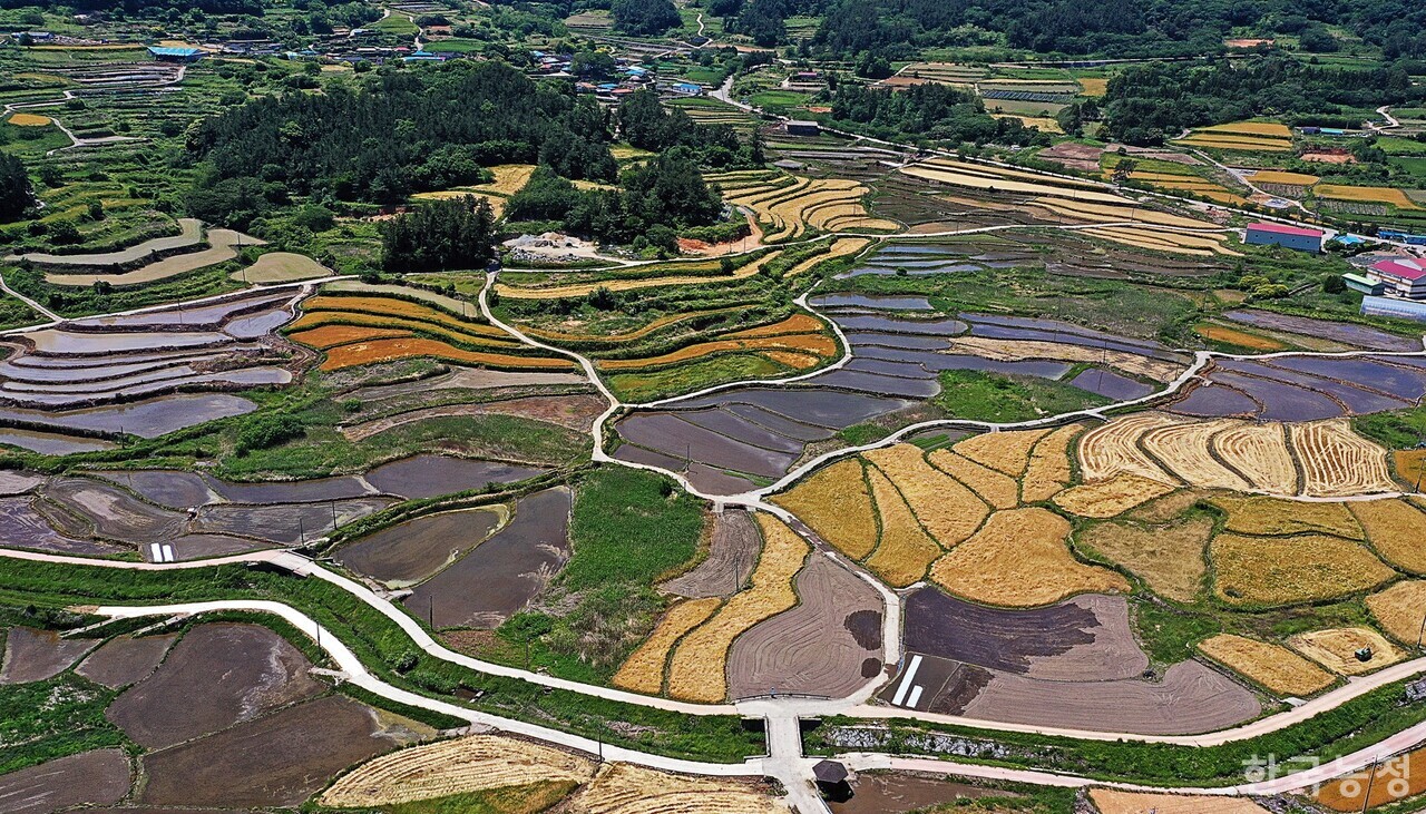제1호 국가중요농업유산(2013년)이자 세계중요농업유산(2014년)으로도 지정된 청산도 구들장논은 경사지에 크고 작은 돌과 평평한 구들을 놓아 석축을 쌓고 흙을 다져서 만든 논으로 통수로를 통해 부족한 농업용수를 효율적으로 이용하게 만든 게 특징이다. 사진은 지난 18일 드론으로 촬영한 전남 완도군 청산면 부흥리와 청계리 일대 구들장논 풍경. 한승호 기자