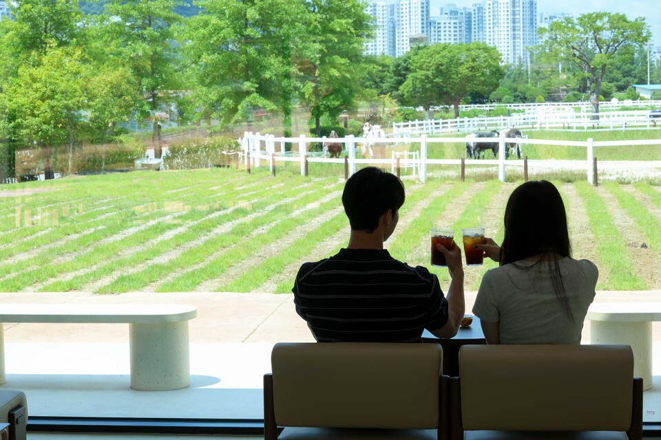 한국마사회가 최근 렛츠런파크 서울 포니랜드에 개장한 목장 카페 ‘슬로우포니’에서 방문객들이 '말멍'을 즐기고 있다. 한국마사회 제공