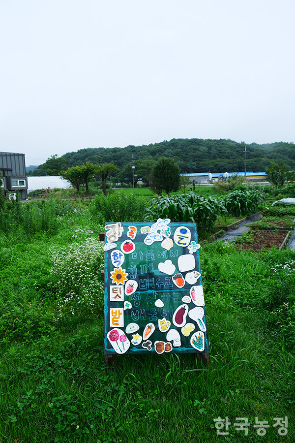 장곡마을학교에서 학생들의 농사체험을 위해 조성한 텃밭.