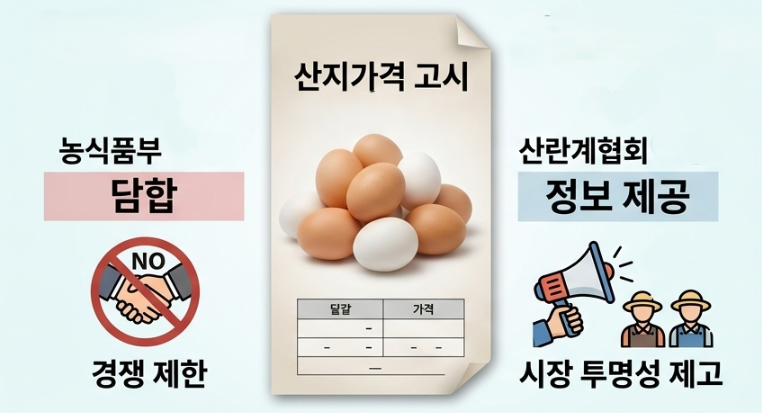 농림축산식품부가 대한산란계협회의 계란 산지가격 결정·통지 행위를 담합으로 판단해 지난 29일 설립허가를 취소한 가운데, 협회는 정보 제공 역할이었을 뿐이라며 법적 대응을 예고했다. 일러스트 생성형 AI 제미나이