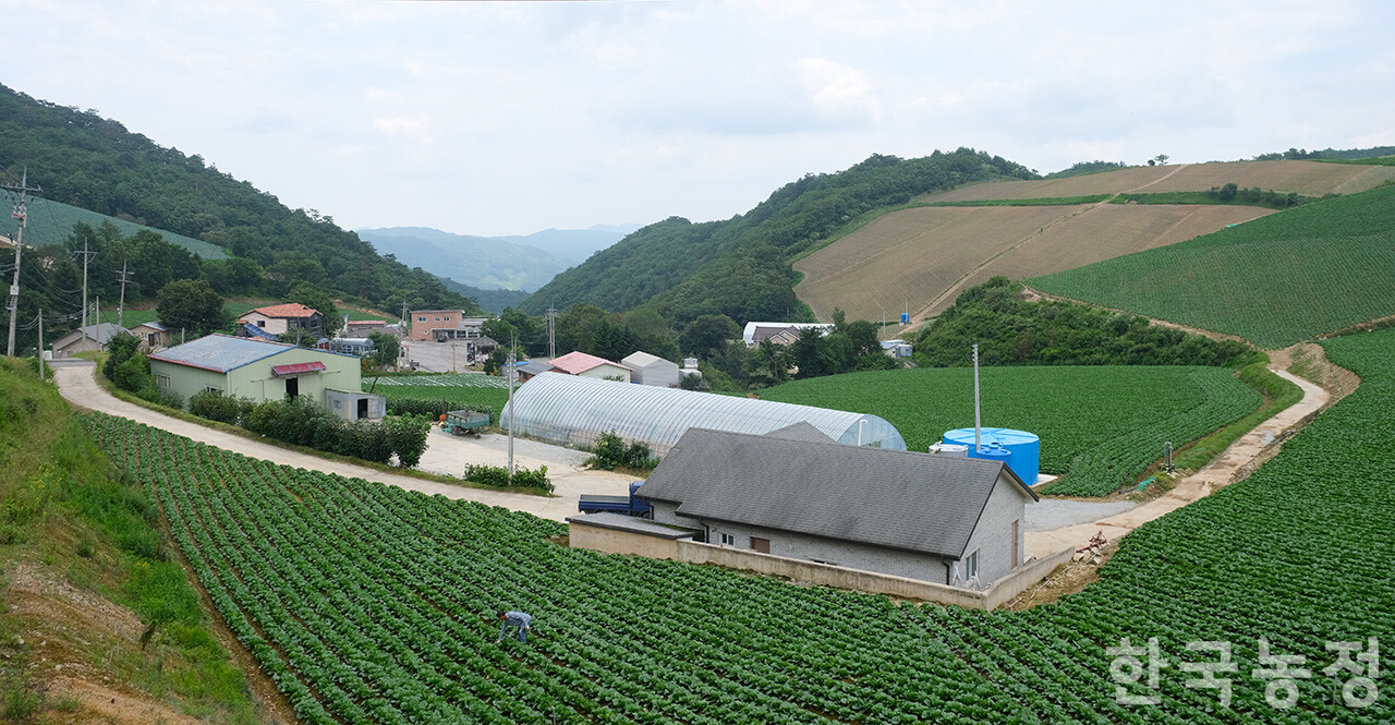 지난 28일 강원 강릉시 왕산면 안반데기 들녘에서 한 농민이 농사를 짓고 있다.