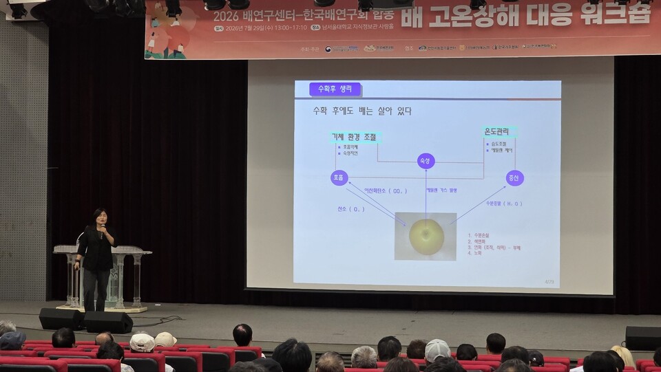 농촌진흥청은 한국배연구회와 함께 지난 29일 충남 천안 남서울대학교에서 ‘배 고온 장해 대응 공동연수’를 열고 배 고온장해 현장 대응 기술을 공유했다. 농촌진흥청 제공