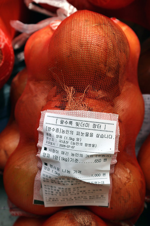 '헐값' 양파·가지·오이·양배추·애호박, 청와대 앞에 쌓다