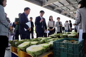 Rural Development Administration Confirms Possibility of Long-term Storage of Government-Stockpiled Spring Cabbage