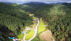 Uljin Geumgang Pine Mountain Agriculture That Has Protected Forests, Water, Land, and People